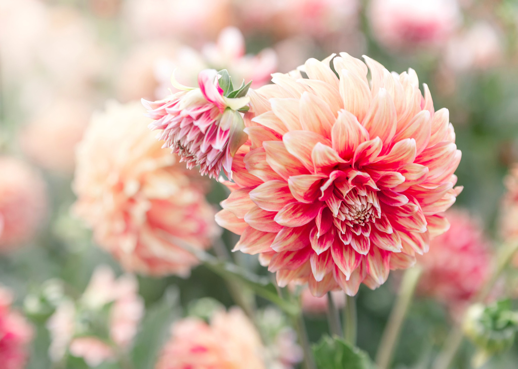 Alton Property Team | Boost Your Home’s Kerb Appeal This Autumn