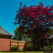 Alton Property Team | The Burrow, High Street, Selborne Hampshire GU34 3LG